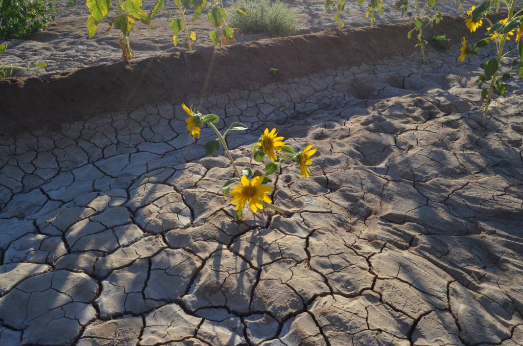 Yer altından fışkıran suyun sırrı çözüldü! Konya Ovası tehlikede 6